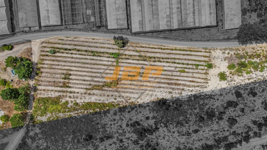 Terreno para Venda em Tornada e Salir do Porto