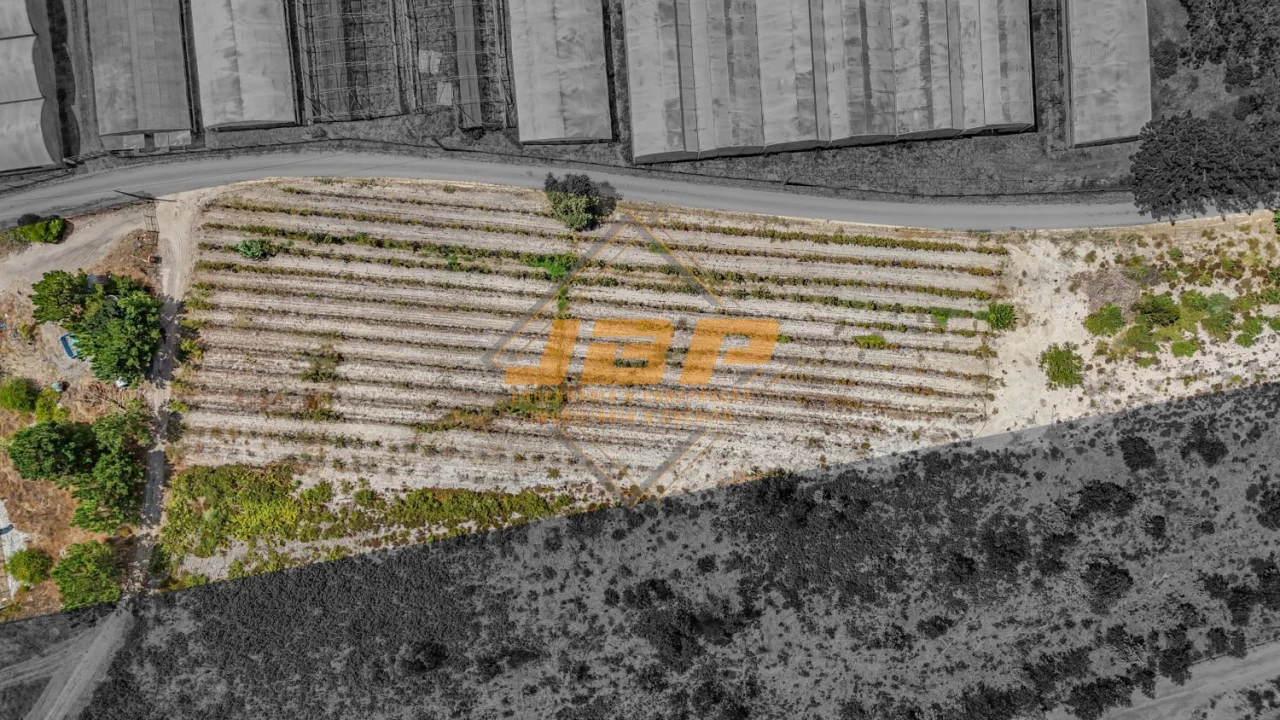 Terreno para Venda em Tornada e Salir do Porto Foto 6