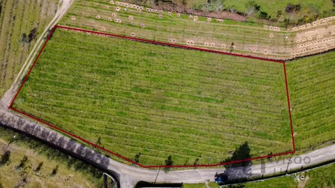 Terreno para Venda em Silgueiros
