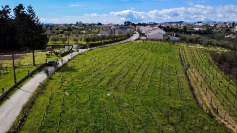 Terreno para Venda em Silgueiros