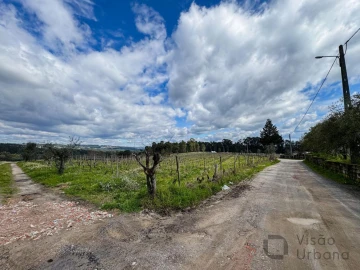 Terreno para Venda em Silgueiros