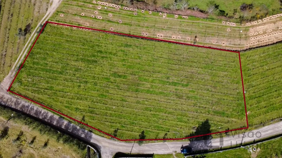 Terreno para Venda em Silgueiros Foto 2