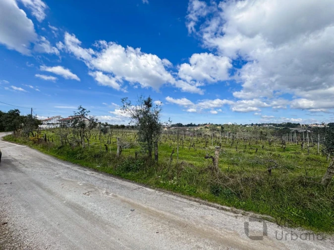 Terreno para Venda em Silgueiros Foto 9