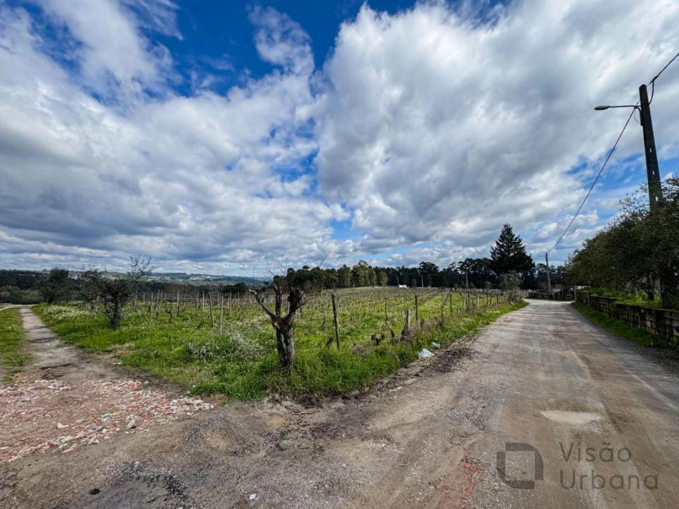 Terreno para Venda em Silgueiros Foto 29