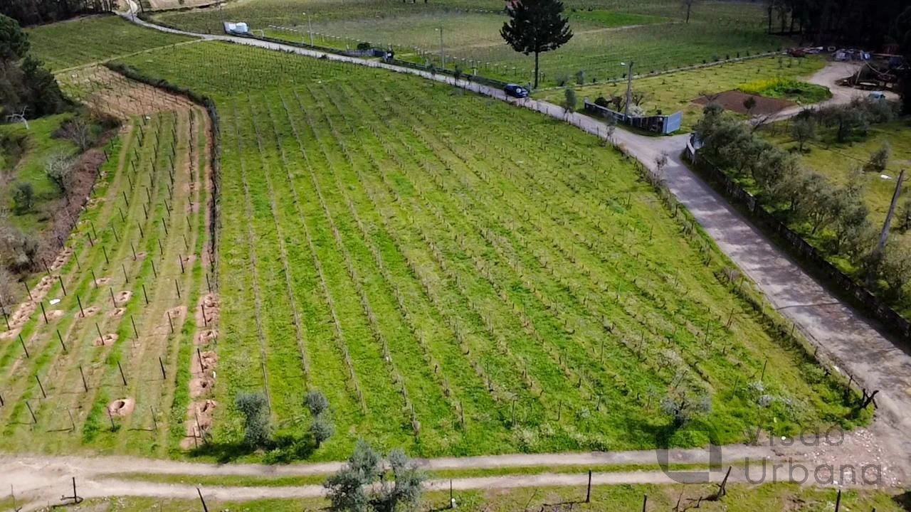 Terreno para Venda em Silgueiros Foto 4