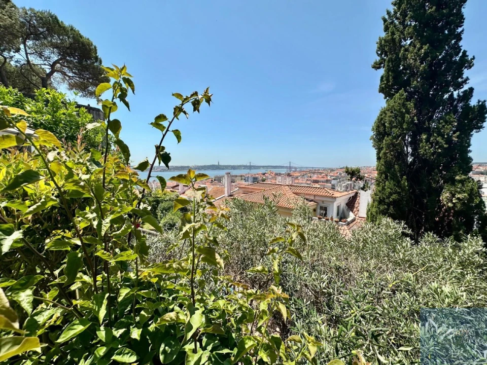 Apartamento T4 para Arrendamento em Santa Maria Maior Foto 42