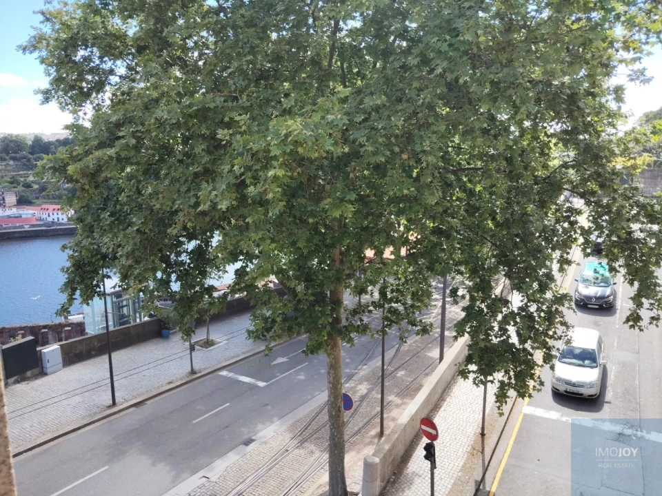 Apartamento T1 para Arrendamento em Cedofeita, Santo Ildefonso, Sé, Miragaia, São Nicolau e Vitória Foto 1