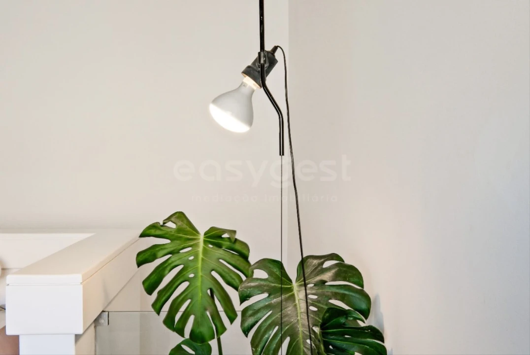 Apartamento T2 para Venda em Belém Foto 6