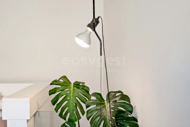 Apartamento T2 para Venda em Belém Foto 6