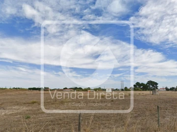 Terreno para Venda em Pinhal Novo