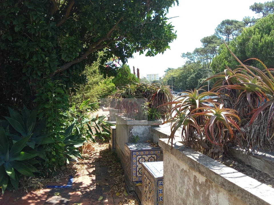 Moradia T7 para Venda em Nossa Senhora do Pópulo, Coto e São Gregório Foto 5