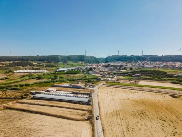 Terreno para Venda em Bombarral e Vale Covo
