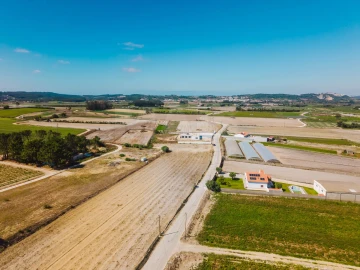 Terreno para Venda em Bombarral e Vale Covo