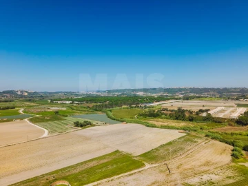 Terreno para Venda em Bombarral e Vale Covo