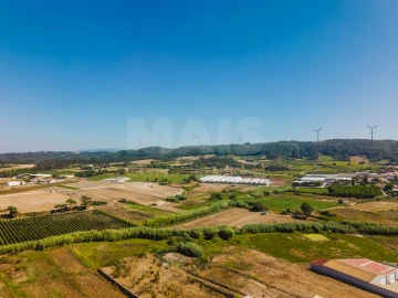 Terreno para Venda em Bombarral e Vale Covo