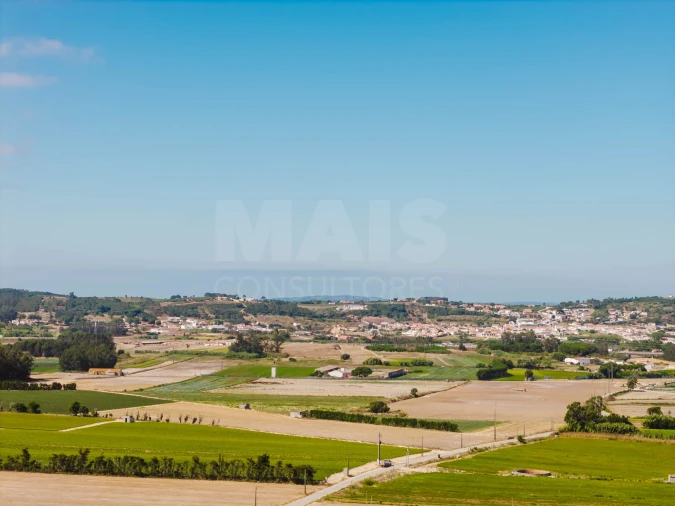 Terreno para Venda em Bombarral e Vale Covo Foto 10