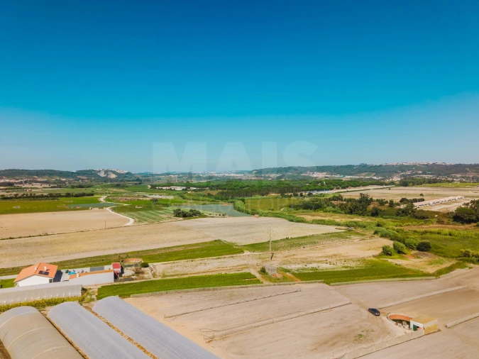 Terreno para Venda em Bombarral e Vale Covo Foto 8