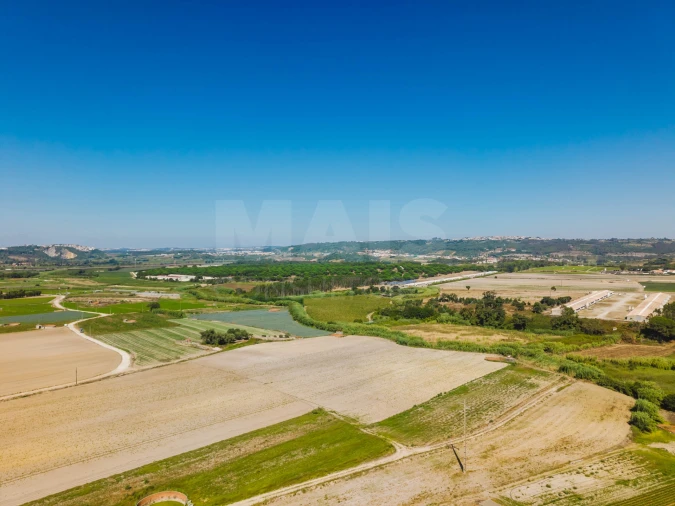 Terreno para Venda em Bombarral e Vale Covo Foto 12