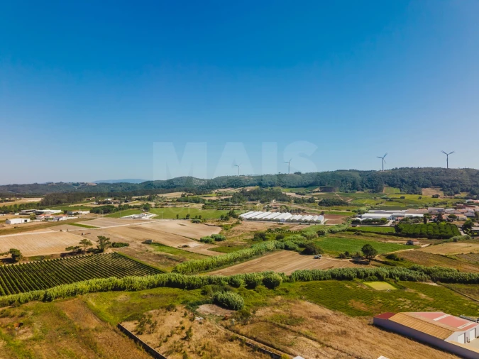 Terreno para Venda em Bombarral e Vale Covo Foto 9