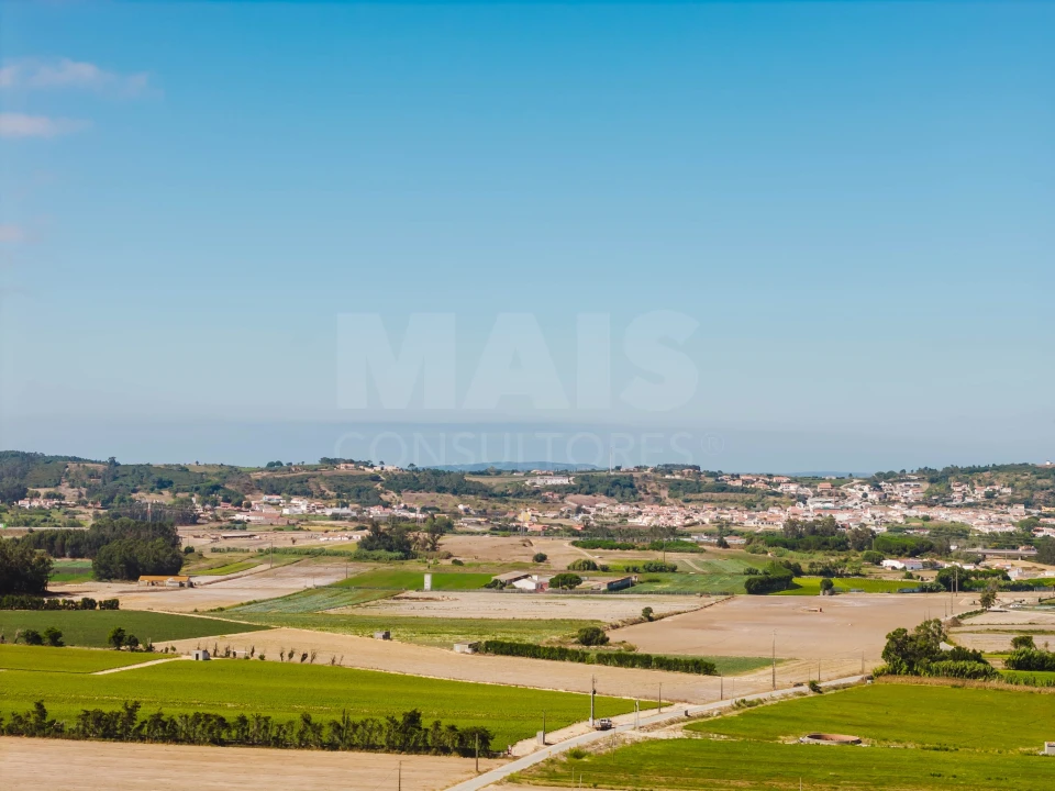 Terreno para Venda em Bombarral e Vale Covo Foto 10