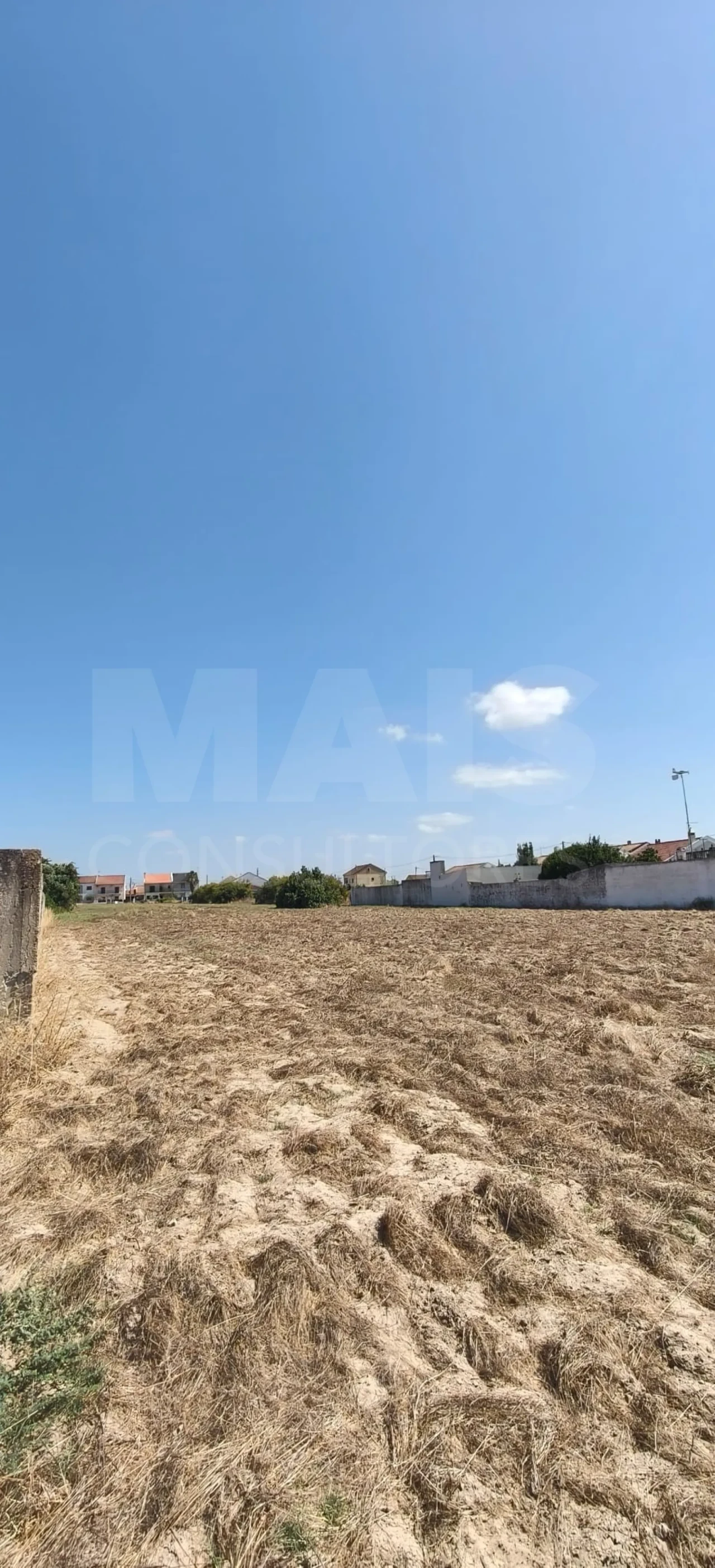 Terreno para Venda em Benavente Foto 3