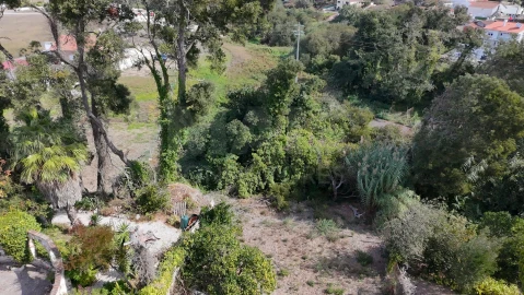 Terreno para Venda em Nadadouro