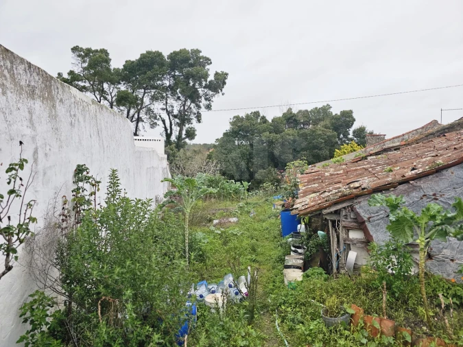 Terreno para Venda em Nadadouro Foto 7