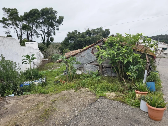 Terreno para Venda em Nadadouro Foto 8