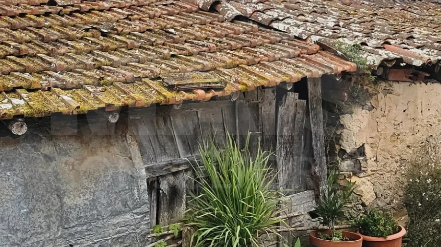 Terreno para Venda em Nadadouro