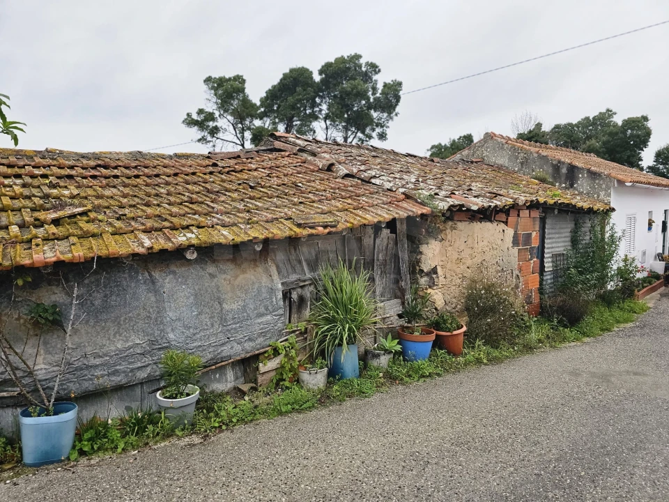 Terreno para Venda em Nadadouro Foto 1