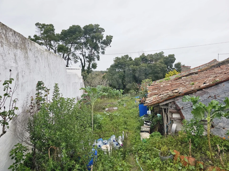 Terreno para Venda em Nadadouro Foto 7
