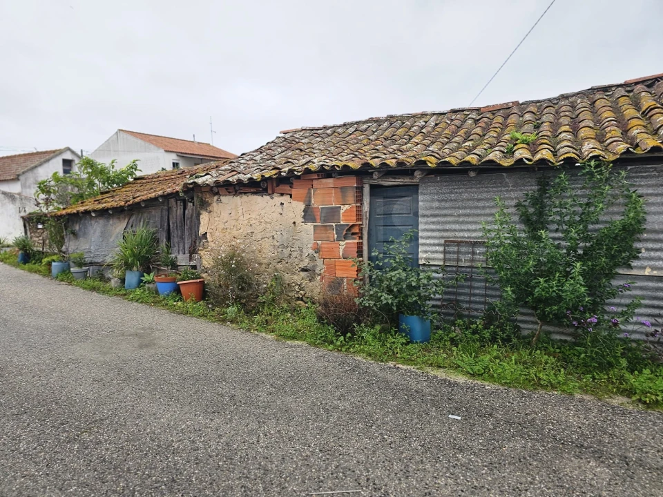 Terreno para Venda em Nadadouro Foto 9