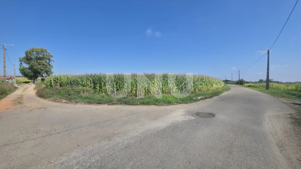 Terreno Agricola ou Rústico para Venda em Valega Foto 3