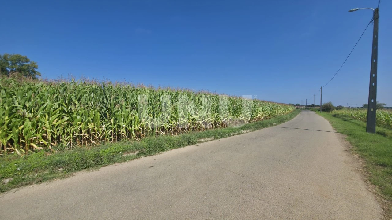 Terreno Agricola ou Rústico para Venda em Valega Foto 4