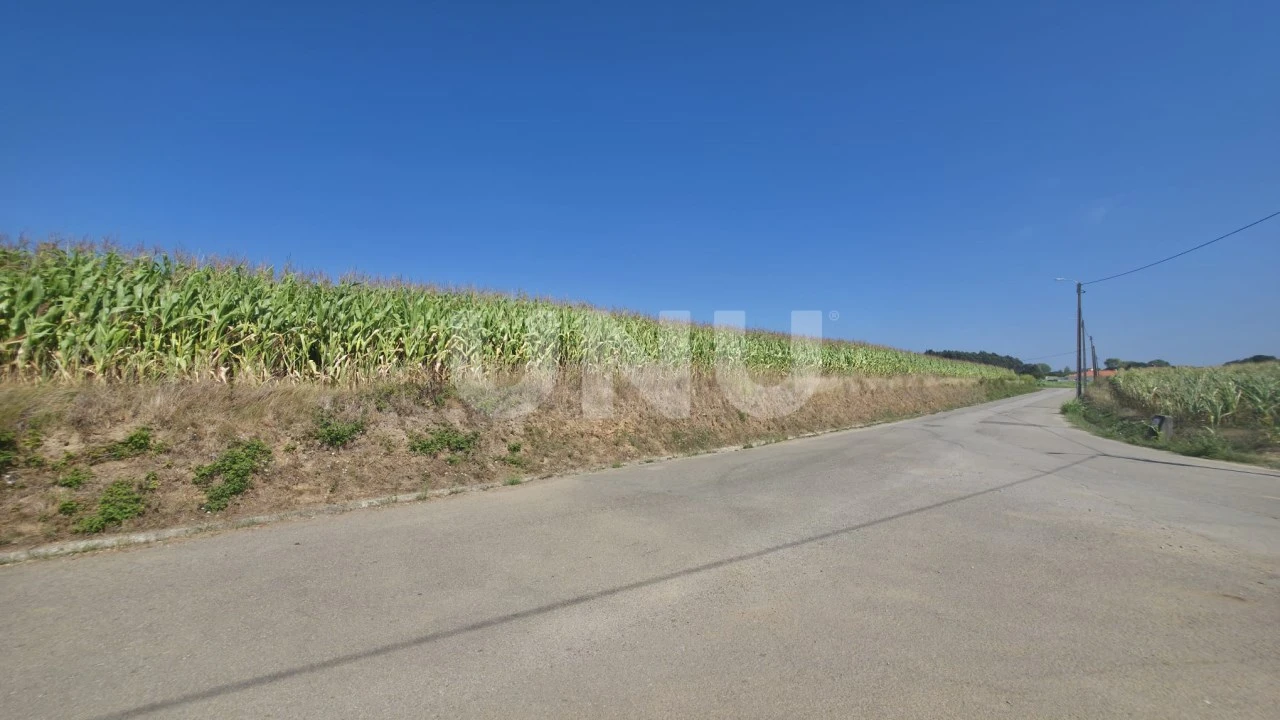 Terreno Agricola ou Rústico para Venda em Valega Foto 9