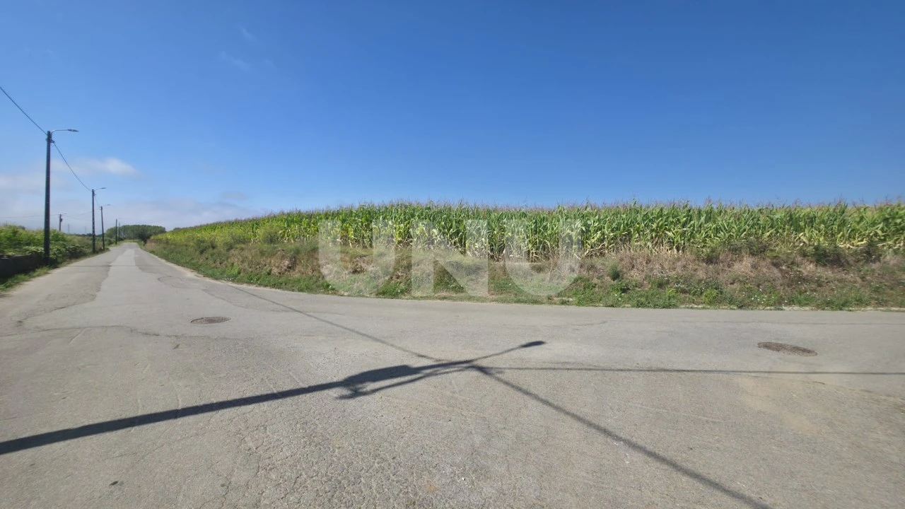 Terreno Agricola ou Rústico para Venda em Valega Foto 10