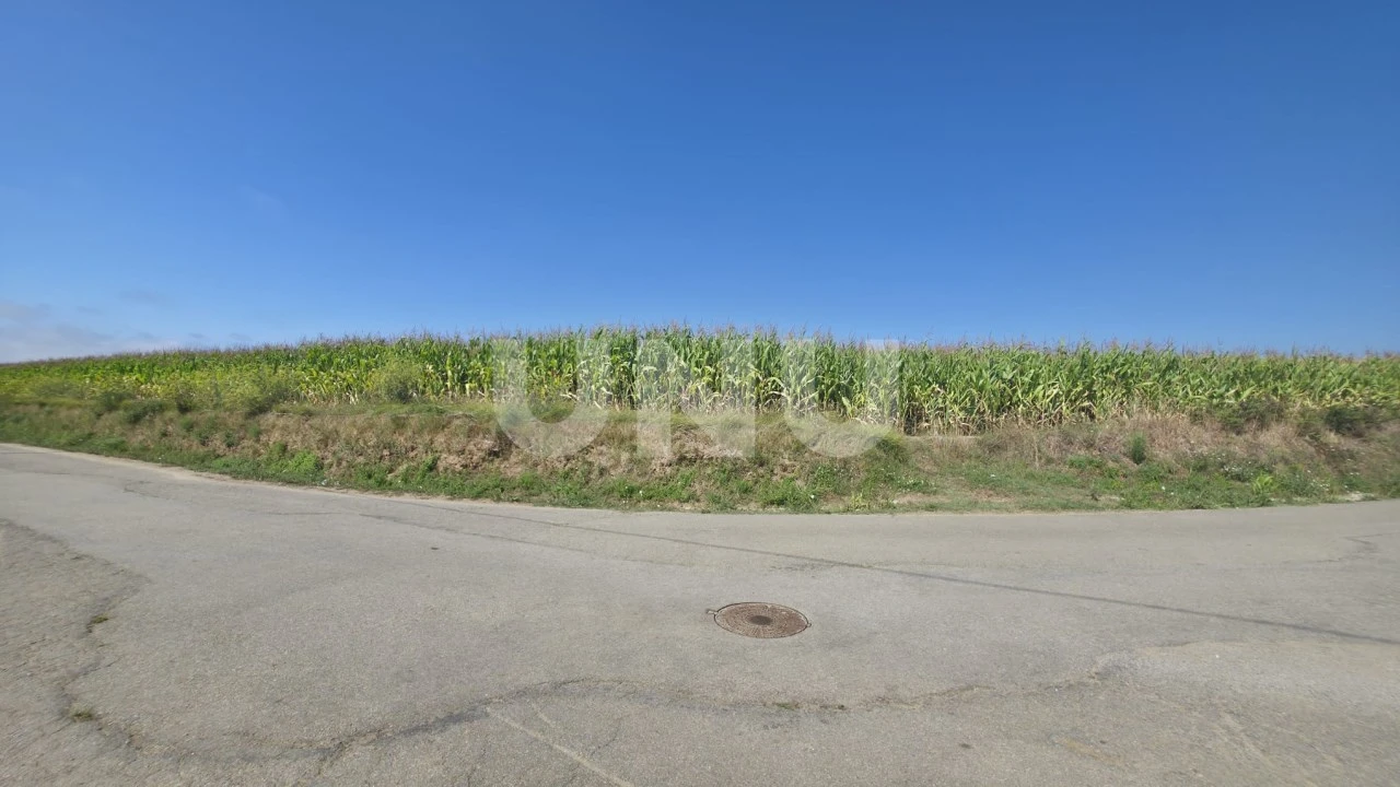 Terreno Agricola ou Rústico para Venda em Valega Foto 11