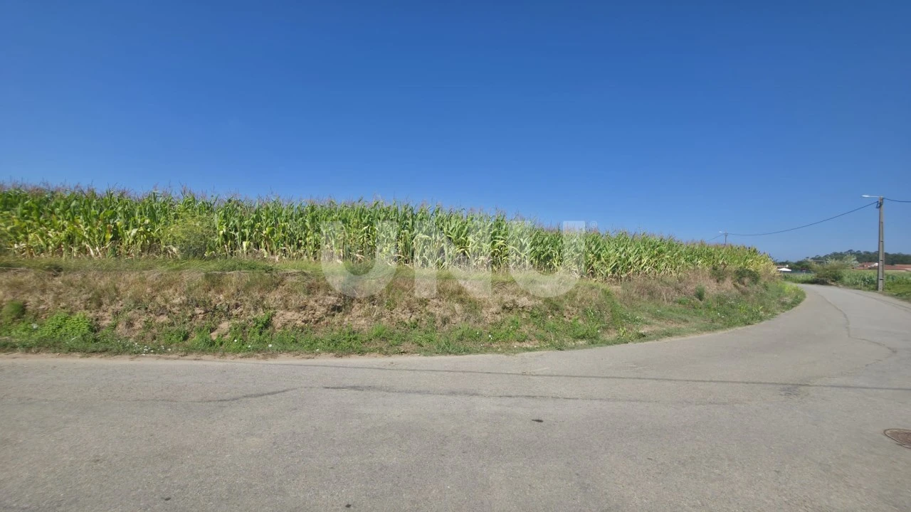 Terreno Agricola ou Rústico para Venda em Valega Foto 12