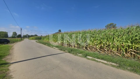 Terreno Agricola ou Rústico para Venda em Valega