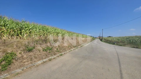 Terreno Agricola ou Rústico para Venda em Valega