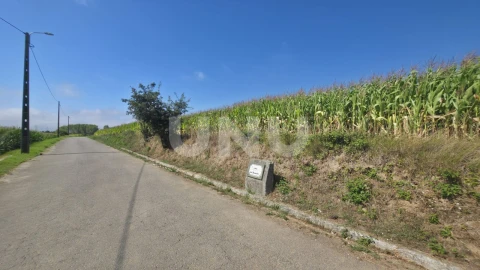 Terreno Agricola ou Rústico para Venda em Valega