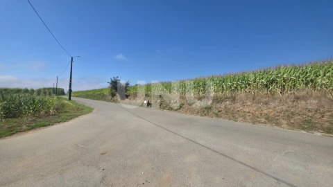 Terreno Agricola ou Rústico para Venda em Valega