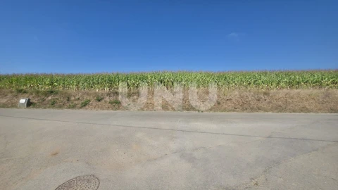 Terreno Agricola ou Rústico para Venda em Valega