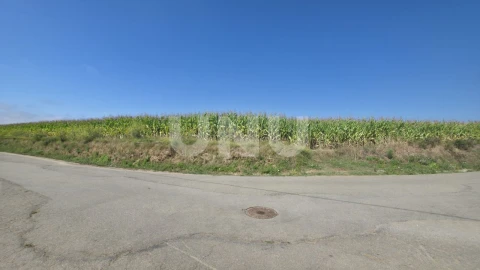 Terreno Agricola ou Rústico para Venda em Valega