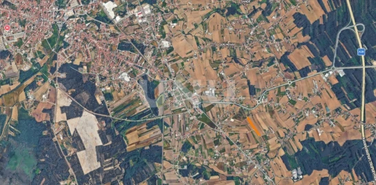 Terreno Agricola ou Rústico para Venda em Valega