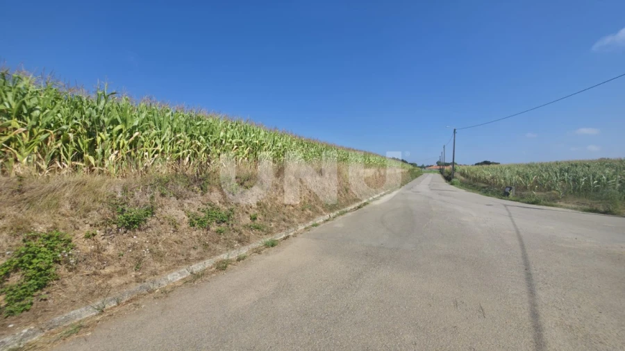 Terreno Agricola ou Rústico para Venda em Valega Foto 5