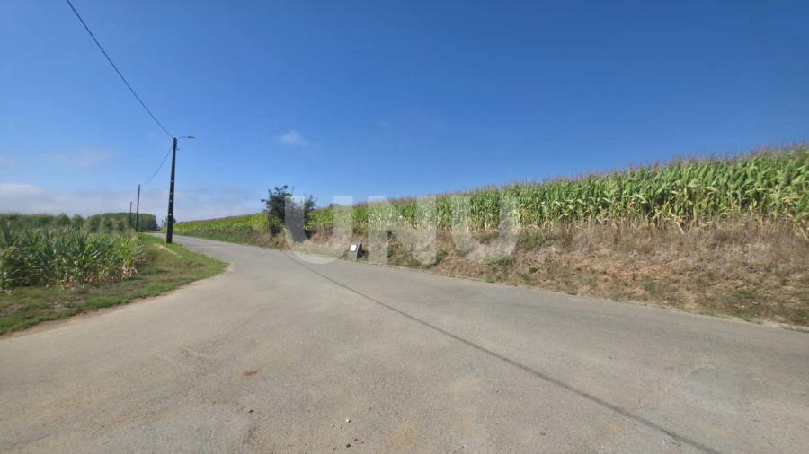 Terreno Agricola ou Rústico para Venda em Valega Foto 7