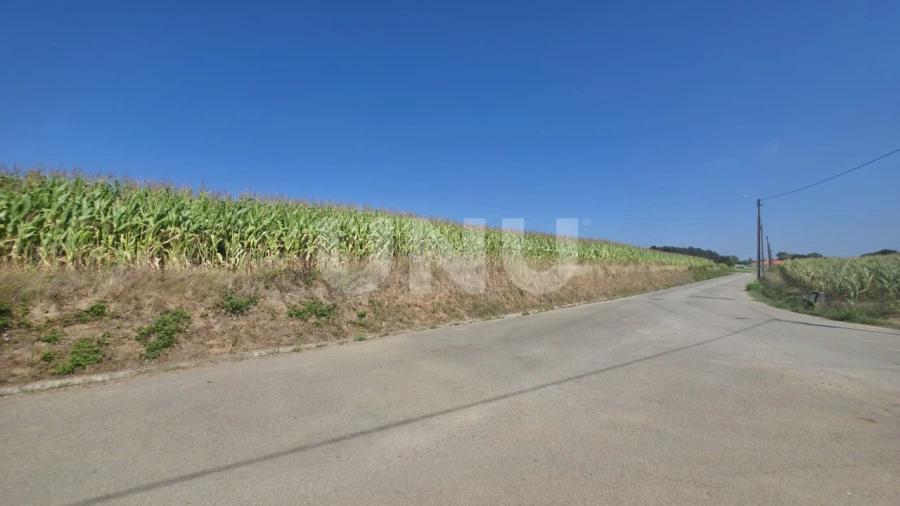 Terreno Agricola ou Rústico para Venda em Valega Foto 9