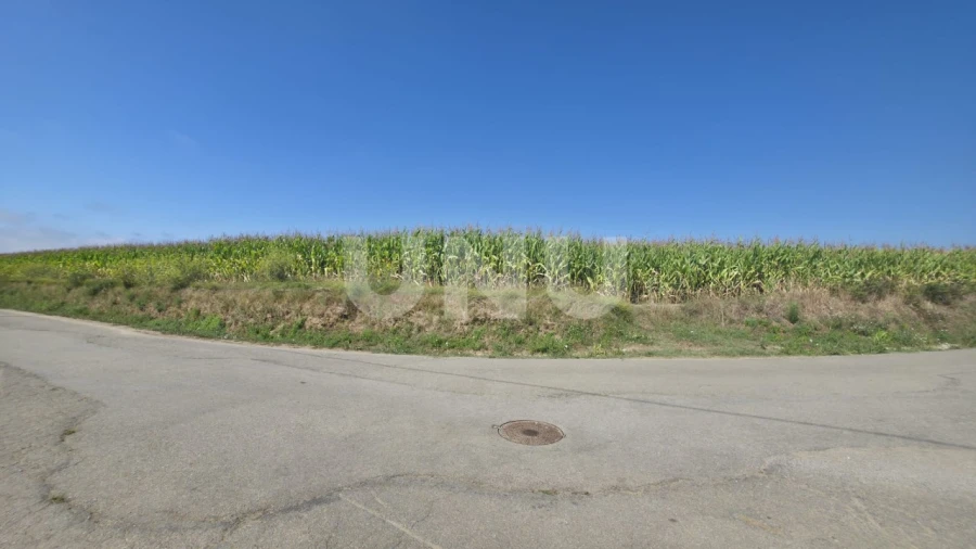 Terreno Agricola ou Rústico para Venda em Valega Foto 11