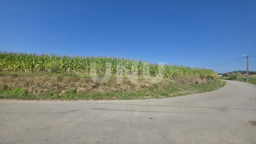 Terreno Agricola ou Rústico para Venda em Valega Foto 13